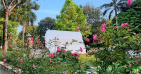 ĐIỀU KHOẢN THAM CHIẾU (TOR)TUYỂN CHUYÊN GIA TẬP HUẤN CHO CÁN BỘ, GIÁO VIÊN GIÁO DỤC NGHỀ NGHIỆP TẠI TỈNH THANH HÓA( Theo TB 345/TB-CĐYT)